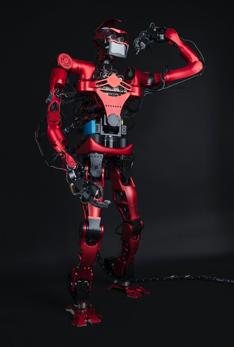 Robotic Realms